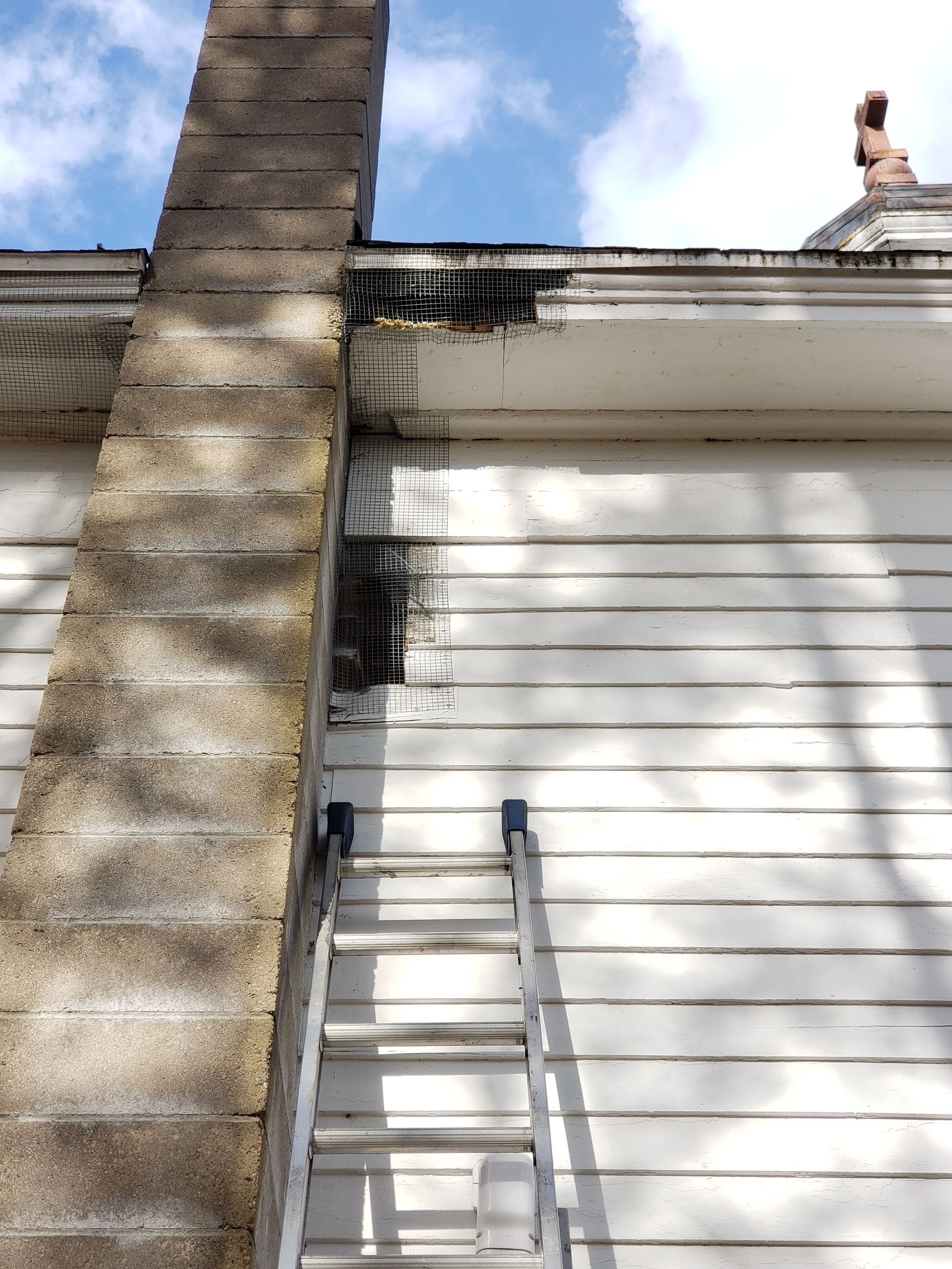A ladder is leaning against the side of a house