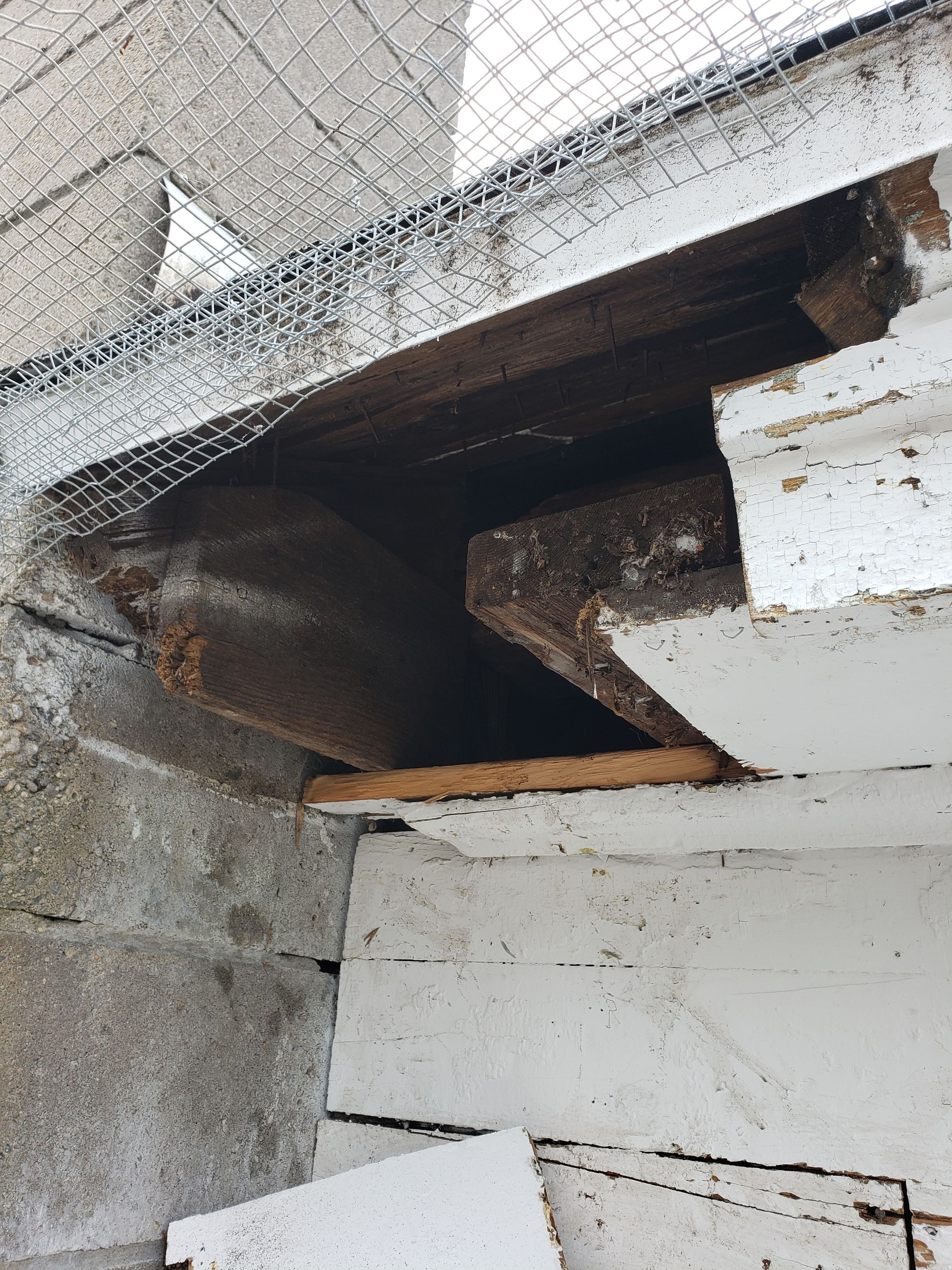 A piece of wood is sitting on top of a concrete wall.