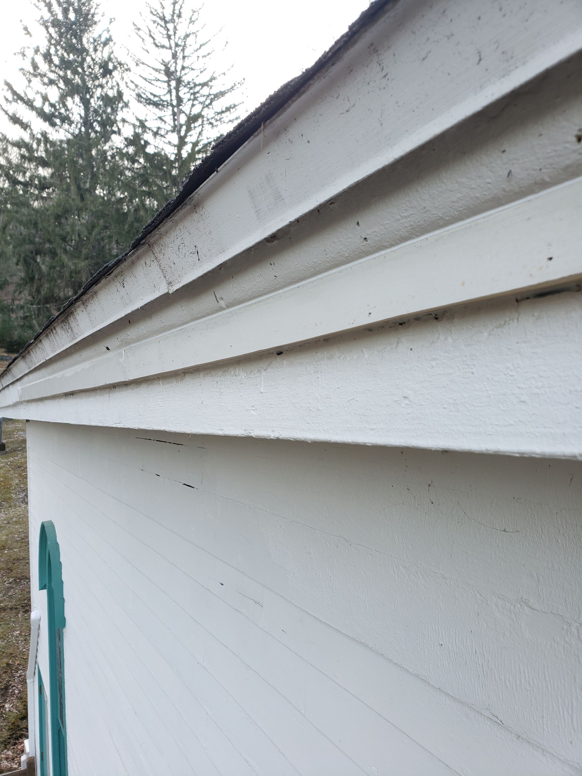 A white house with a green door and a roof with trees in the background.