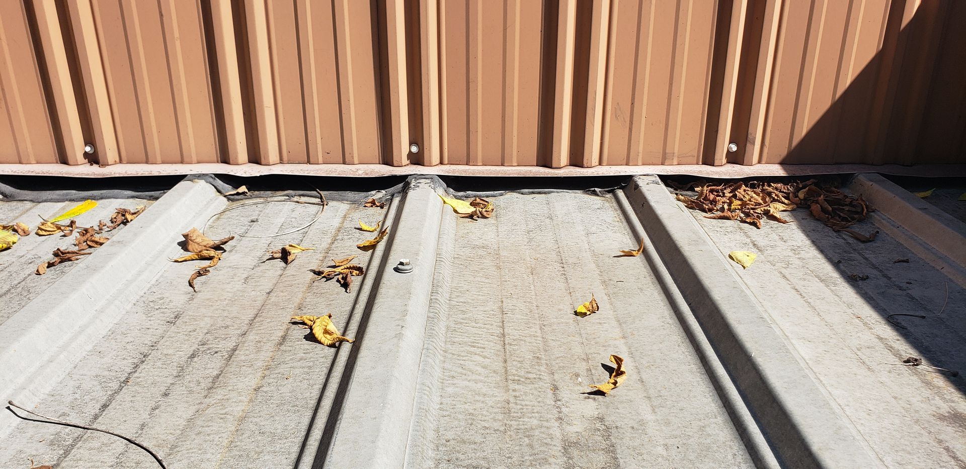 A close up of a metal roof with leaves on it.