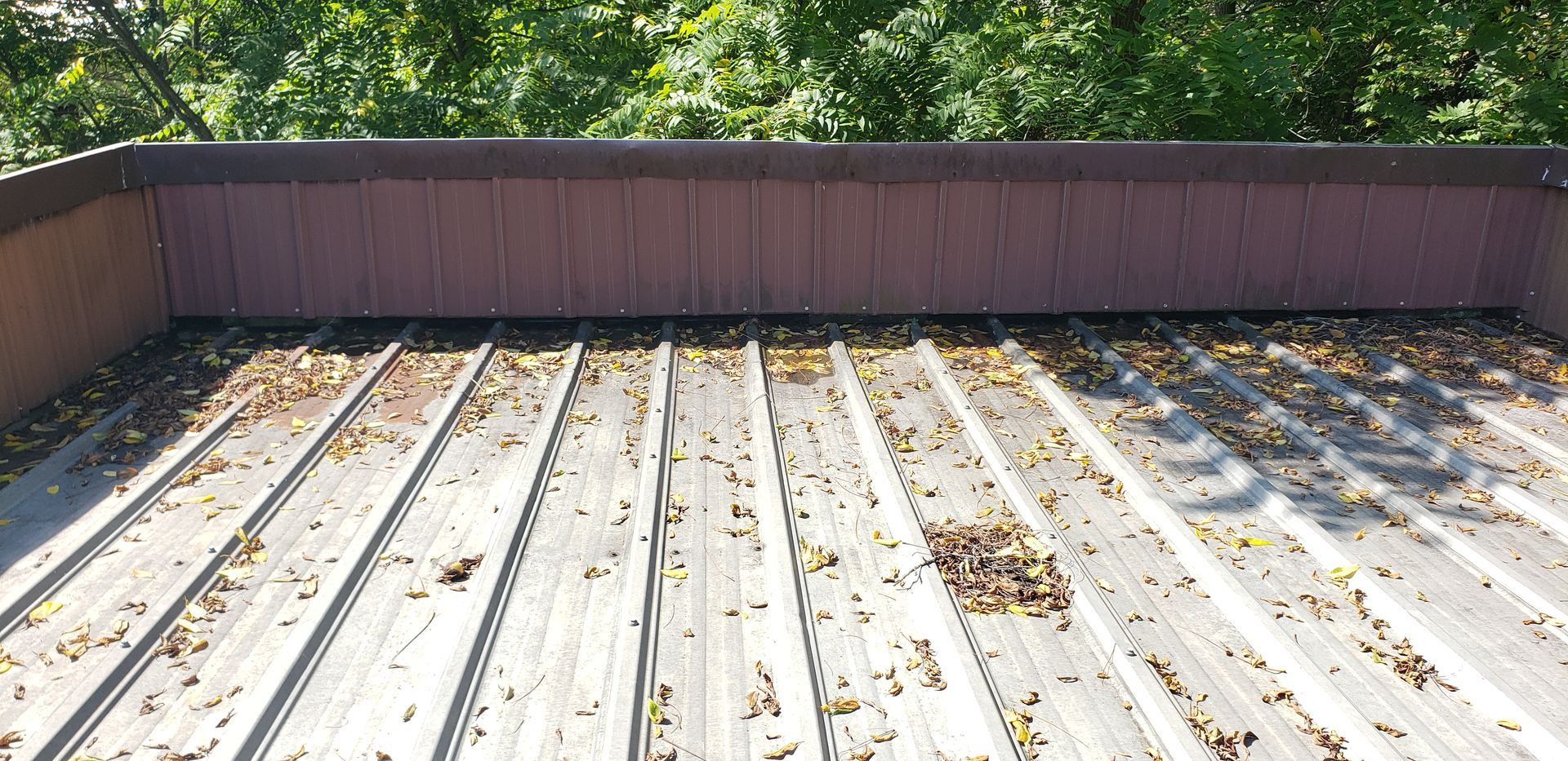 A roof with a lot of leaves on it and trees in the background.