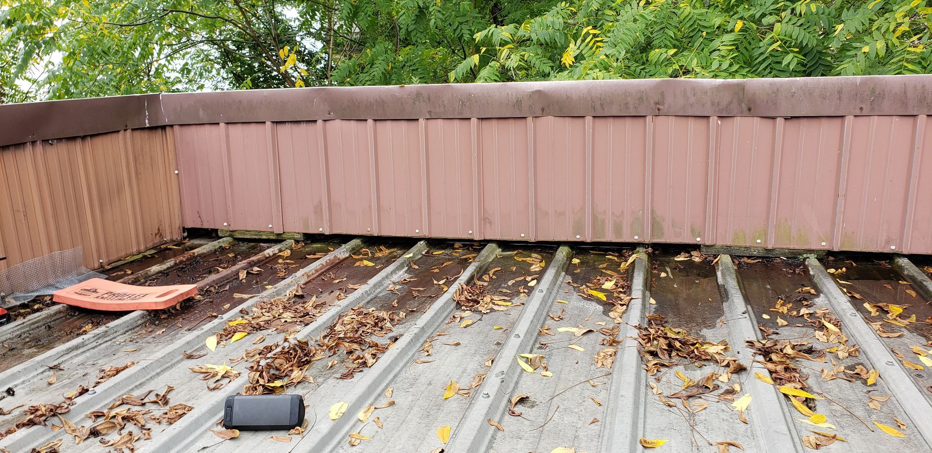 A roof with a lot of leaves on it and a wallet on it.