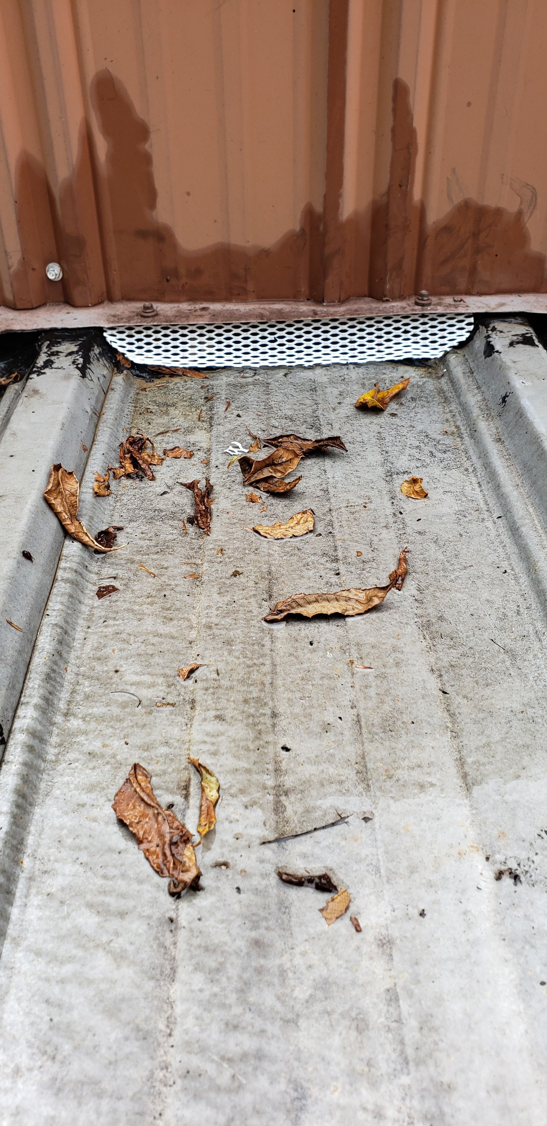 A close up of a metal roof with leaves on it.