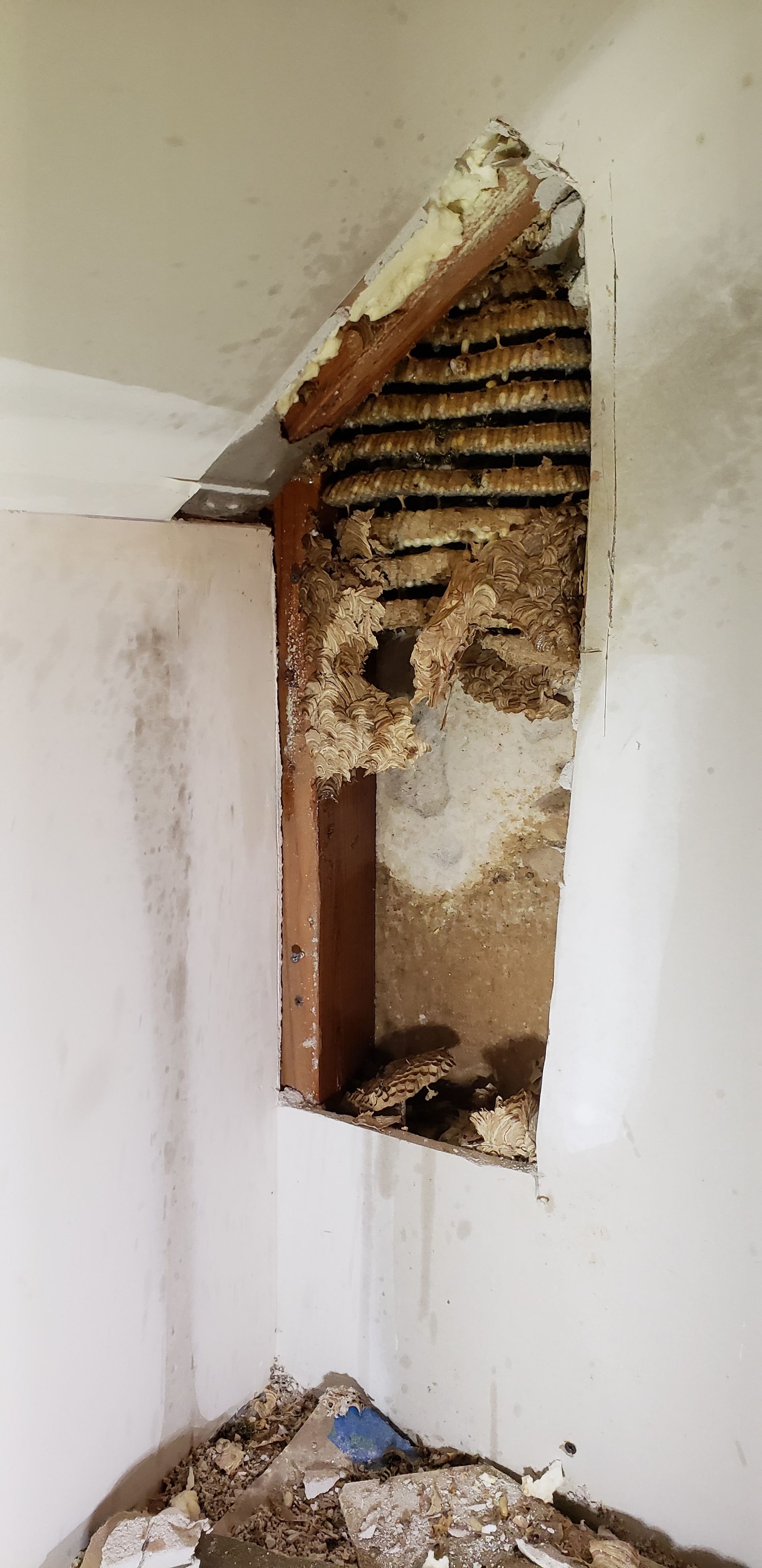 There is a hole in the wall that looks like a birdhouse.