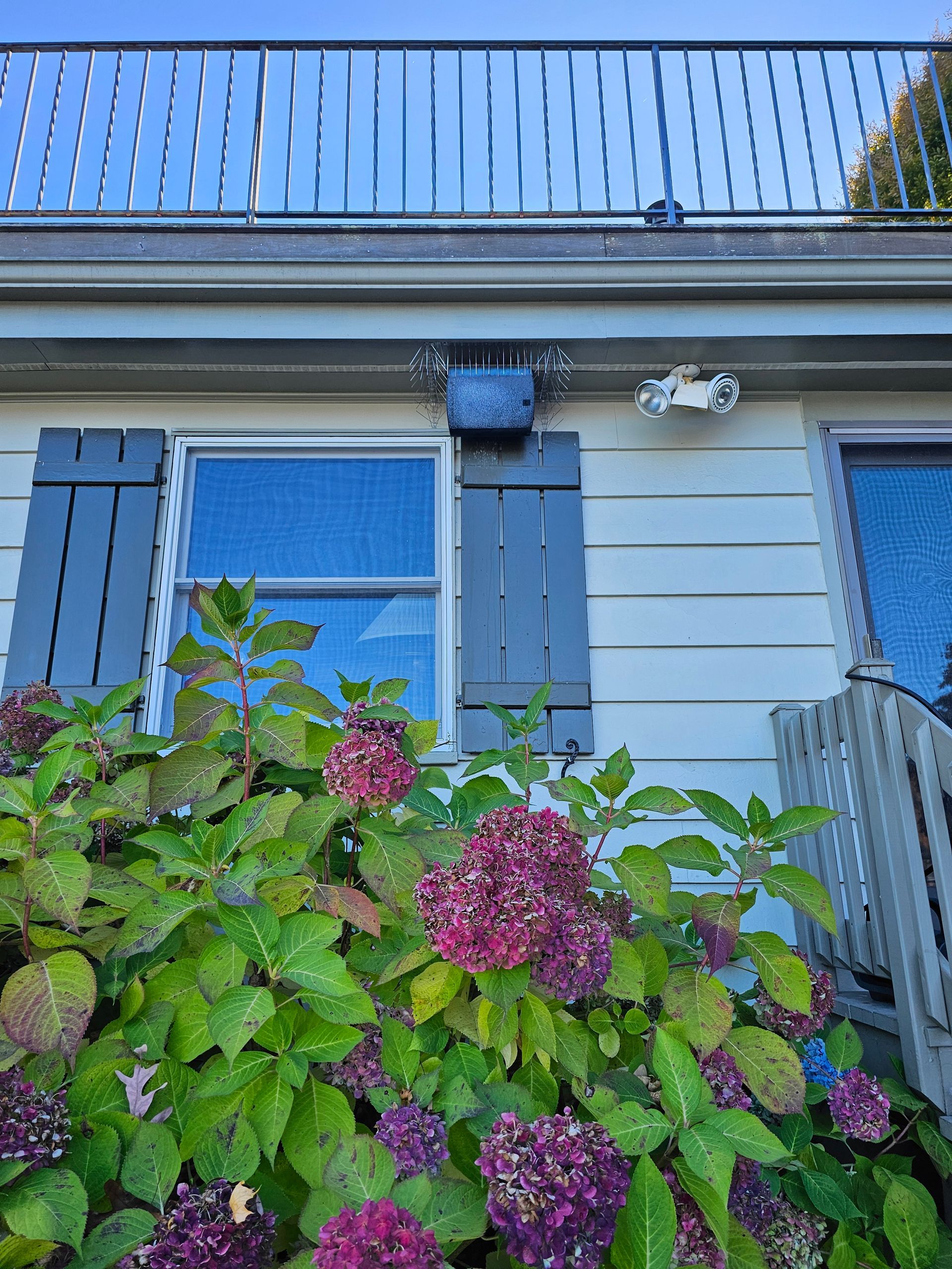 A house with purple flowers in front of it and a balcony.