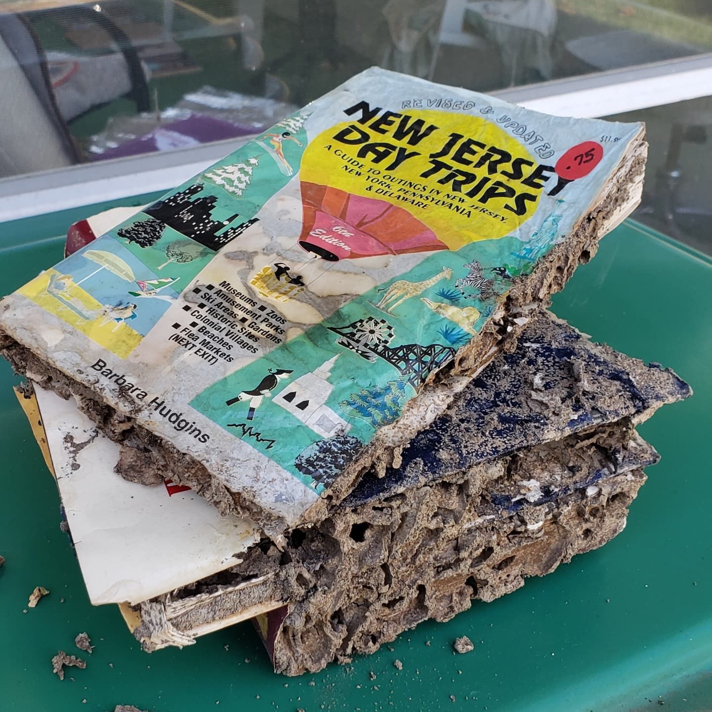 A stack of books titled new jersey day trips