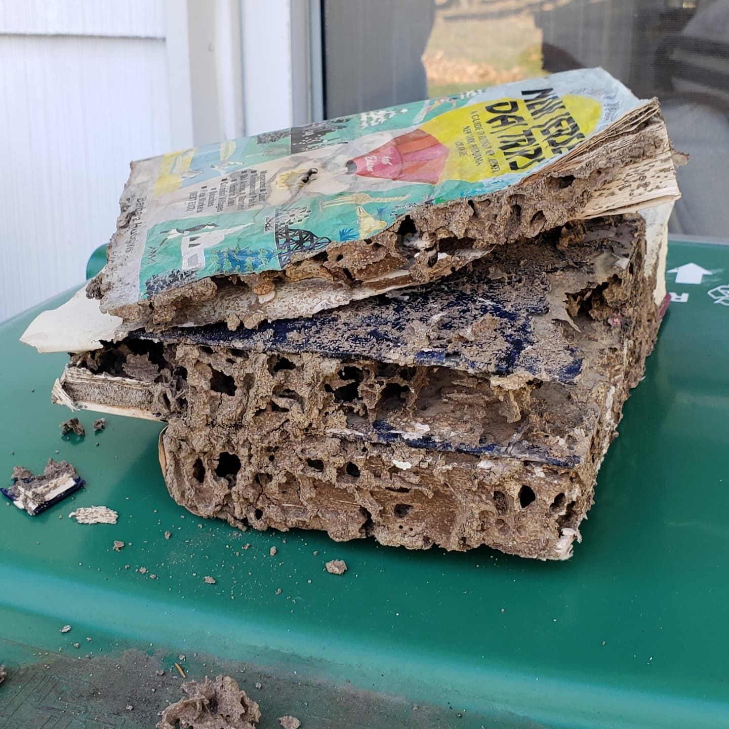 A stack of termite damaged papers on top of a green trash can