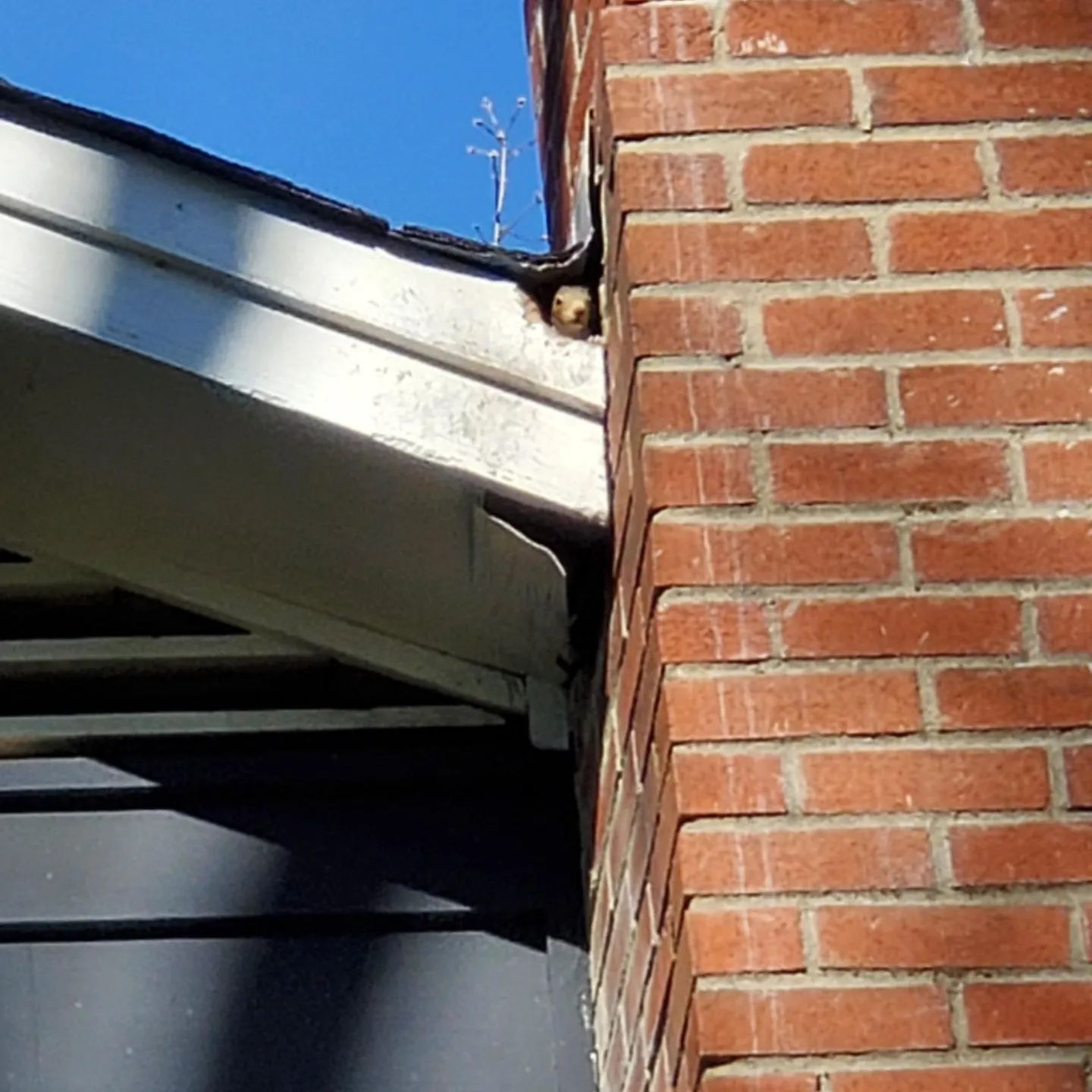 A brick chimney on the side of a house