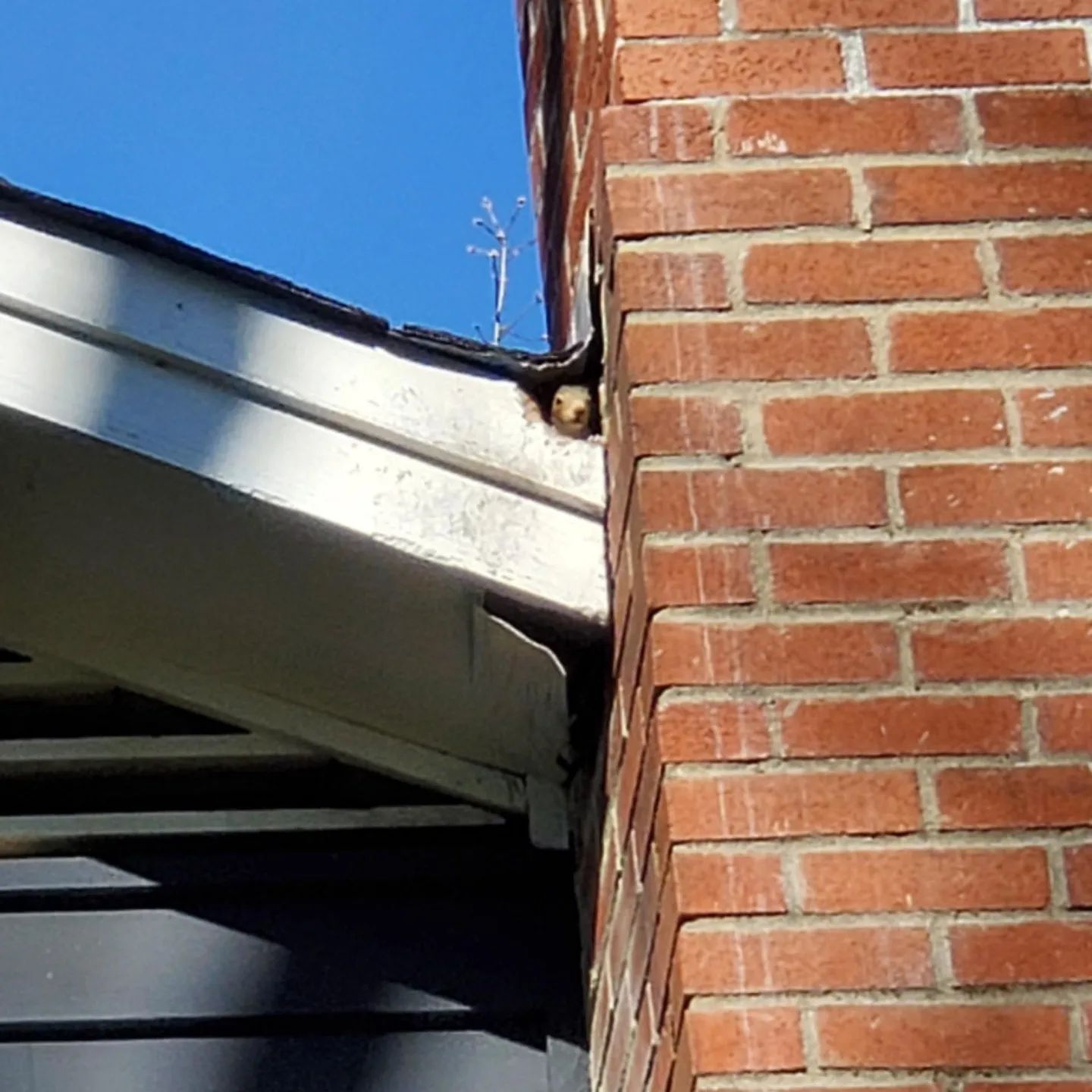 A brick chimney on the side of a house