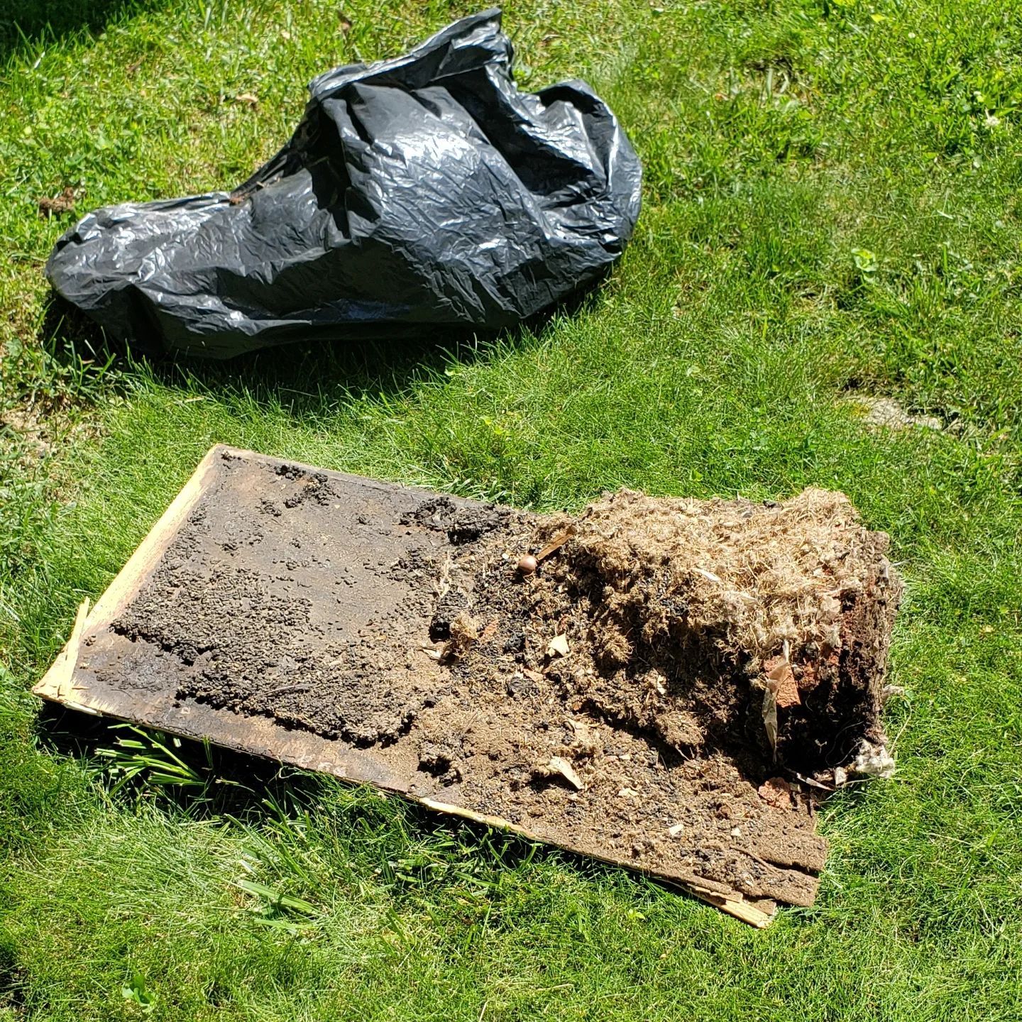 A piece of wood is laying on the grass next to a black bag.