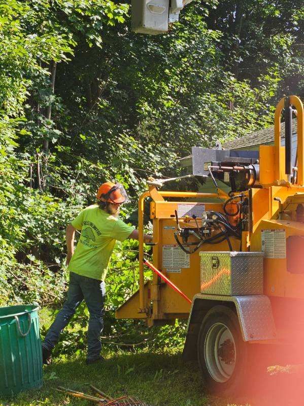 Tree Trimming Services - Rutland, MA - Trees Unlimited