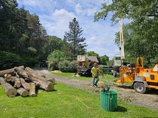 Tree Trimming Images One - Rutland, MA - Trees Unlimited