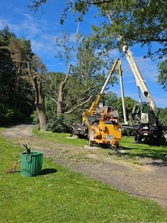 Tree Trimming Images Two - Rutland, MA - Trees Unlimited