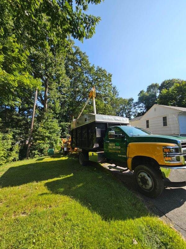 Tree Trimming Services Images One - Rutland, MA - Trees Unlimited
