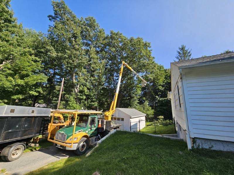 Tree Trimming Truck Images One - Rutland, MA - Trees Unlimited