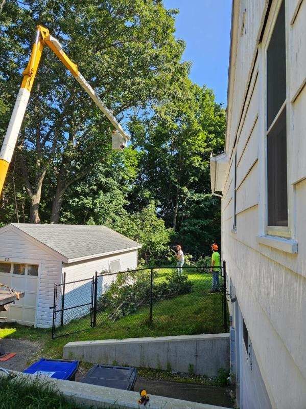 Tree Trimming Services Four - Rutland, MA - Trees Unlimited