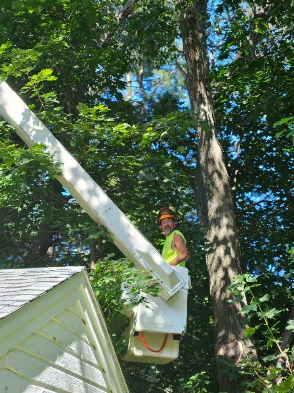 Tree Trimming Services Six - Rutland, MA - Trees Unlimited