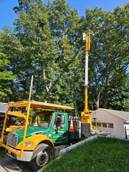 Tree Trimming Truck Images Five - Rutland, MA - Trees Unlimited