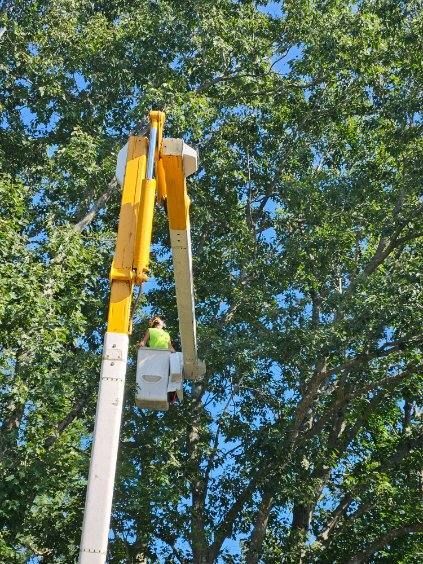 Tree Trimming Truck Images Seven - Rutland, MA - Trees Unlimited