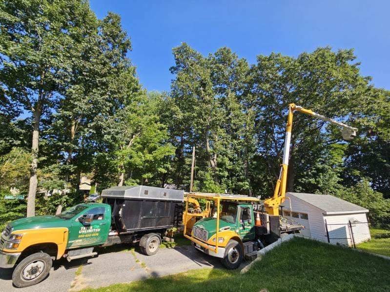 Tree Trimming Truck Images Nine - Rutland, MA - Trees Unlimited
