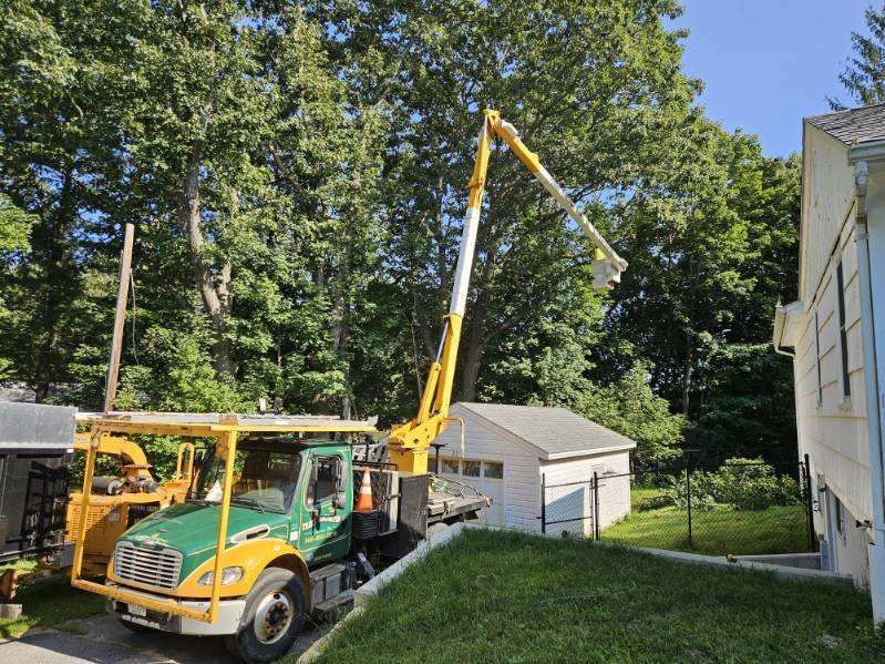 Tree Trimming Truck Images Six - Rutland, MA - Trees Unlimited Tree Trimming Truck Images Seven - Rutland, MA - Trees Unlimited