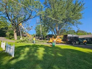 Tree Trimming Images Four - Rutland, MA - Trees Unlimited