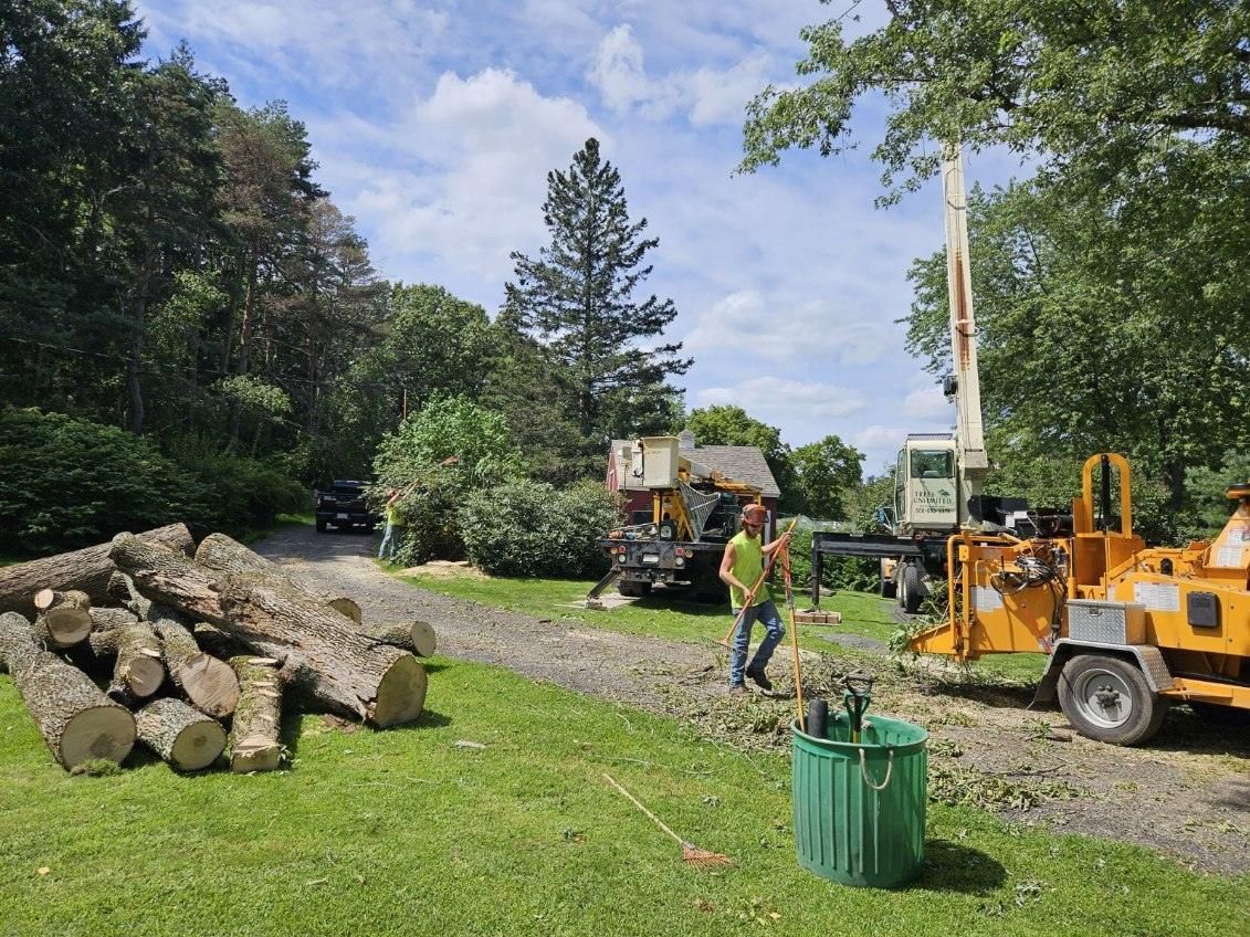 Tree Trimming Images Five - Rutland, MA - Trees Unlimited