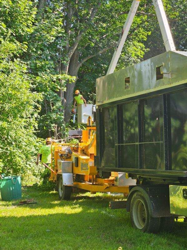 Tree Trimming Images Six - Rutland, MA - Trees Unlimited