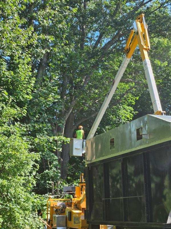 Tree Trimming Images Eight - Rutland, MA - Trees Unlimited