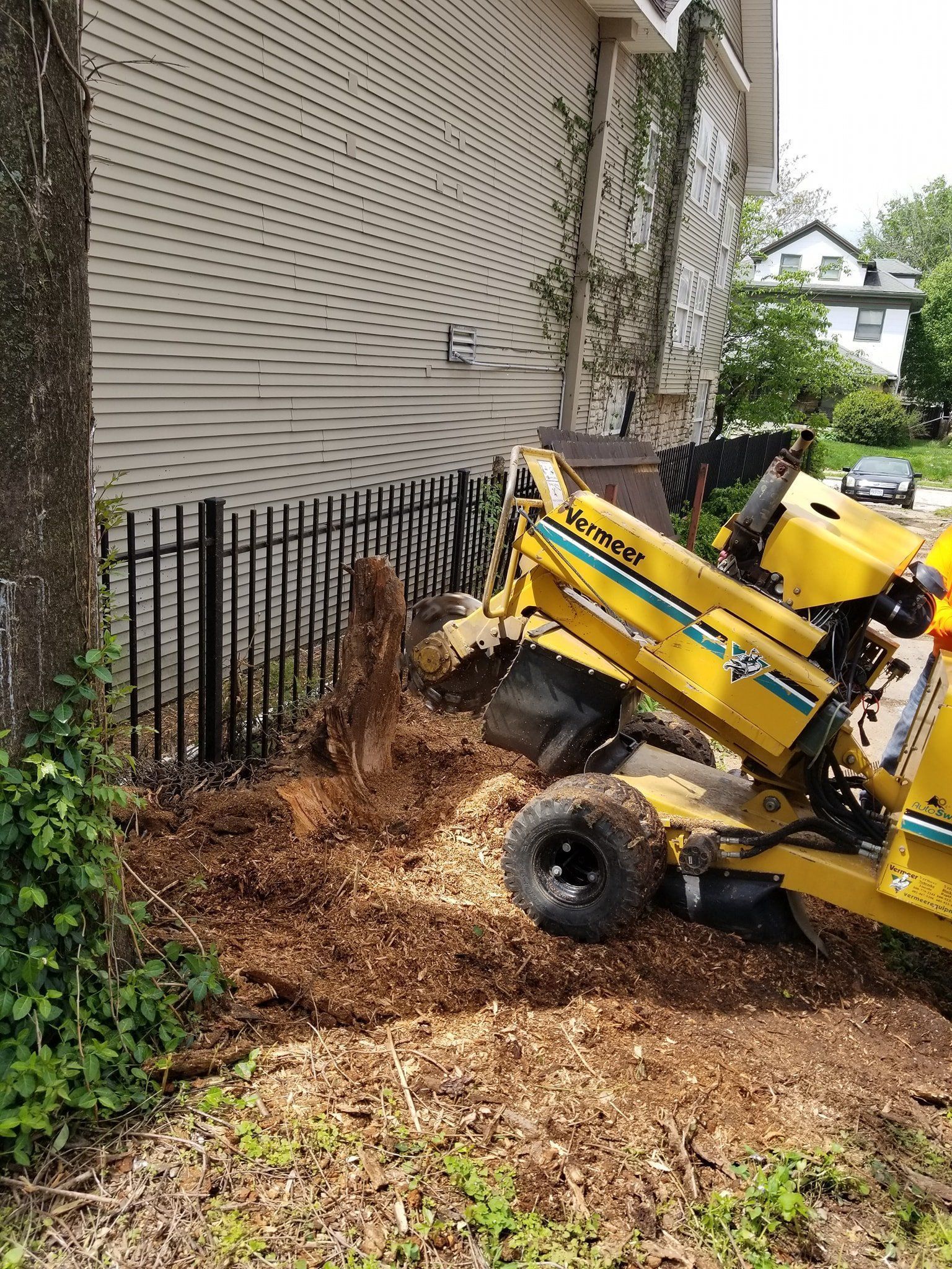 A yellow stump grinder machine works to remove a tree stump near a black metal fence and a house with beige siding.