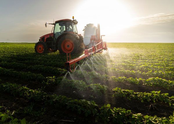 A tractor is spraying a field of plants with a sprayer.