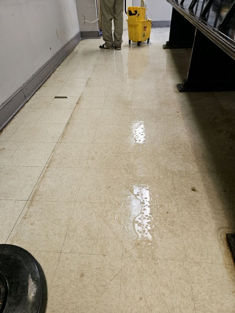 A person is cleaning the floor of a building with a mop and bucket.