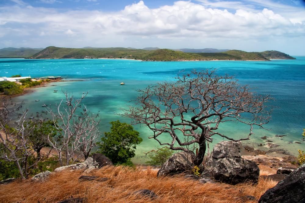 A Tree Stands On Top Of A Rocky Hill Overlooking A Body Of Water — PASMA Electrical In Torres Strait, QLD