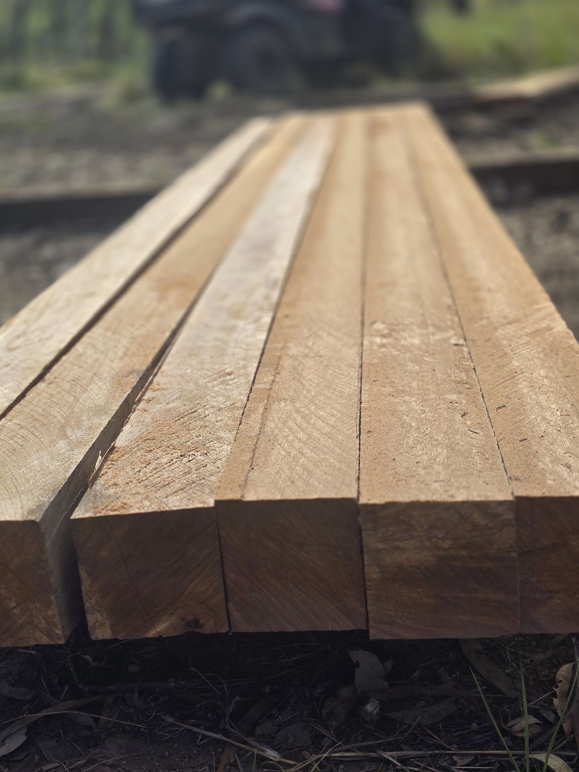 Posts of wood lined up in a row — Mackay Hardwood Sales in Freshwater Point, QLD