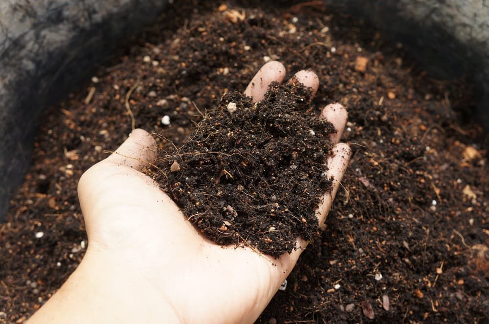 A Person Is Holding A Pile Of Dirt In Their Hand — JMAK Haulage & Landscapes Supplies In Falls Creek, NSW