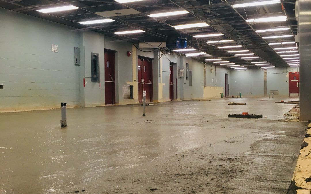 Une grande pièce vide avec un sol en béton et beaucoup de lumière.