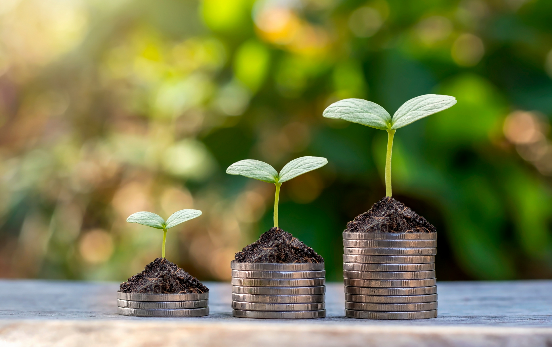 three plants are growing out of stacks of coins .