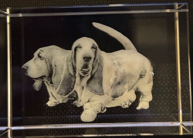 Kristallen blok met een 3D-geëtste afbeelding van een Basset Hound.