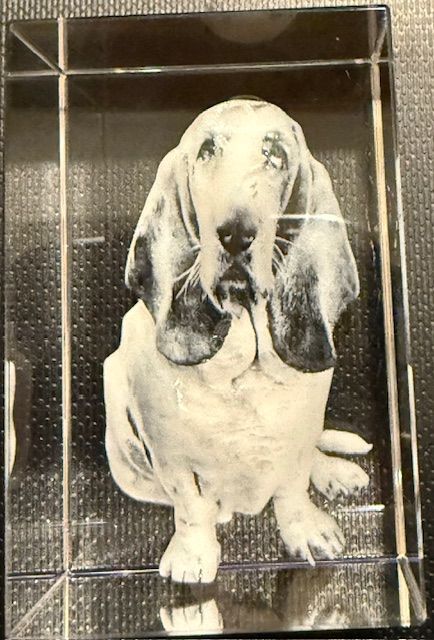 Kristallen blok met een 3D-geëtste afbeelding van een Basset Hound.
