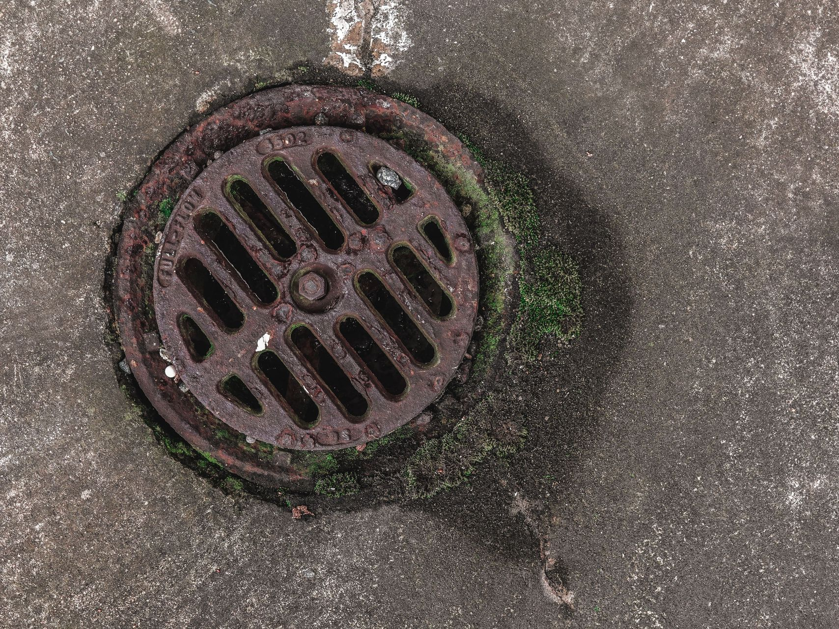 Round metal drain grate on a concrete surface, with moss around the edge.