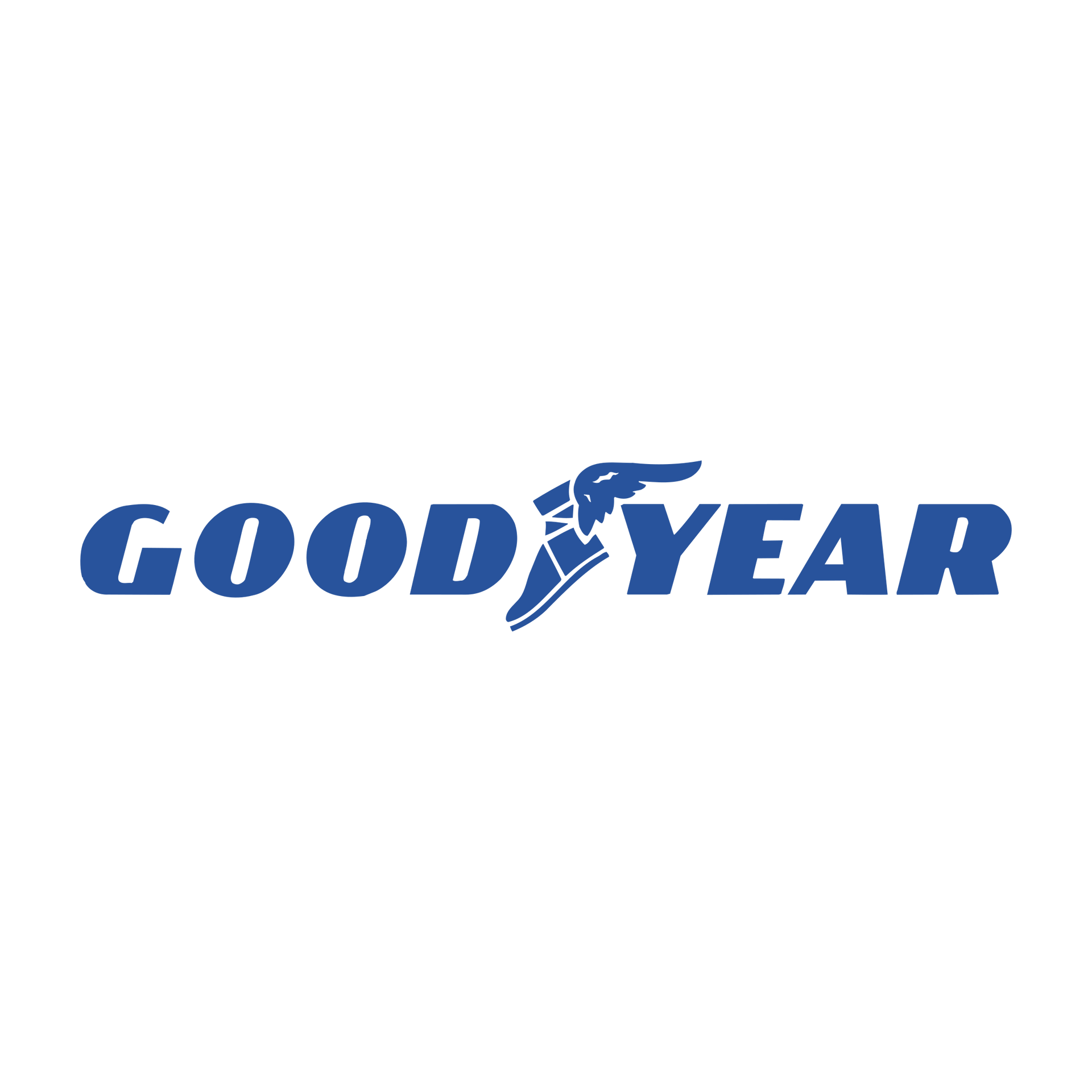 The good year logo is blue and has a bird on it.
