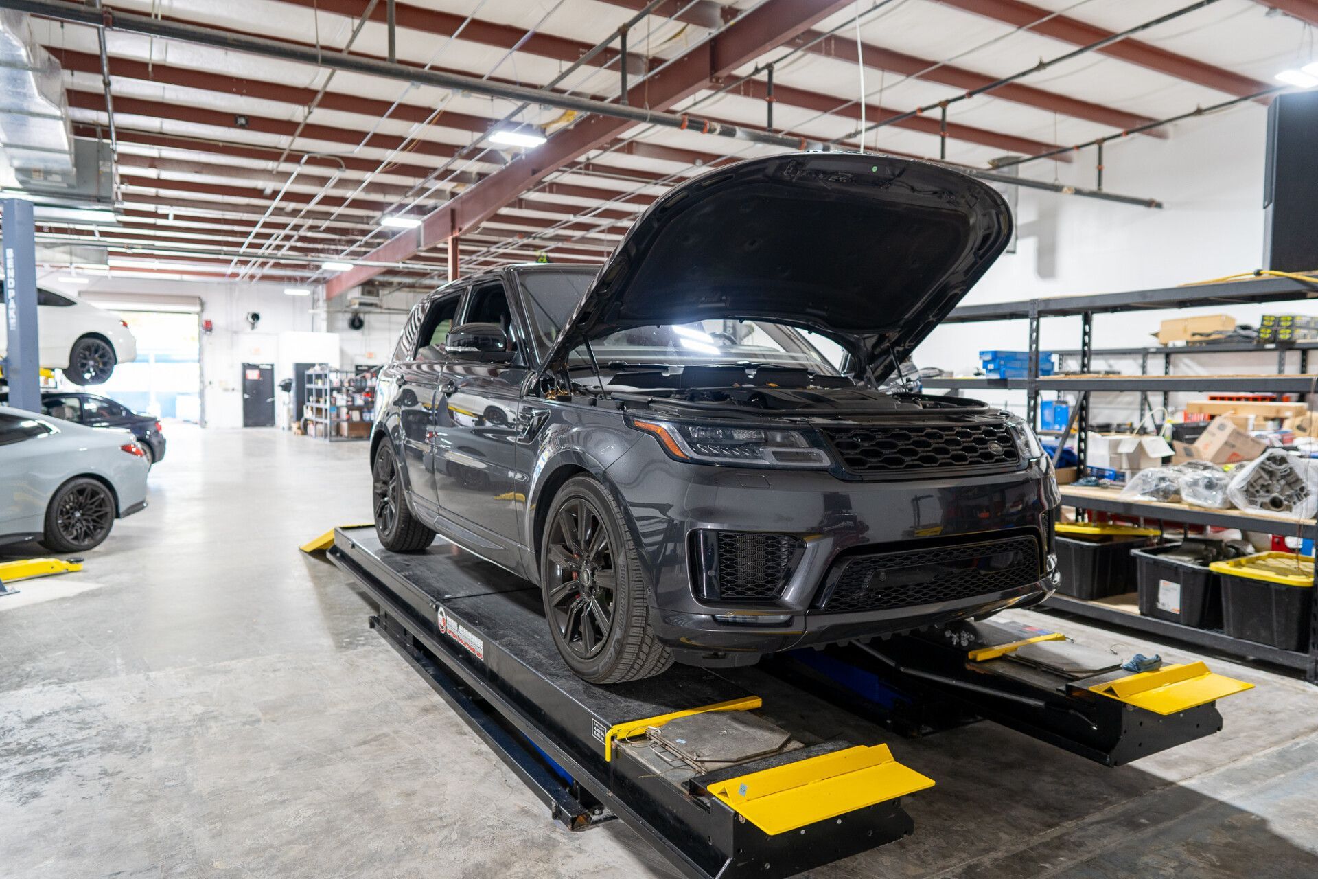 Gallery | Adler Rennsport