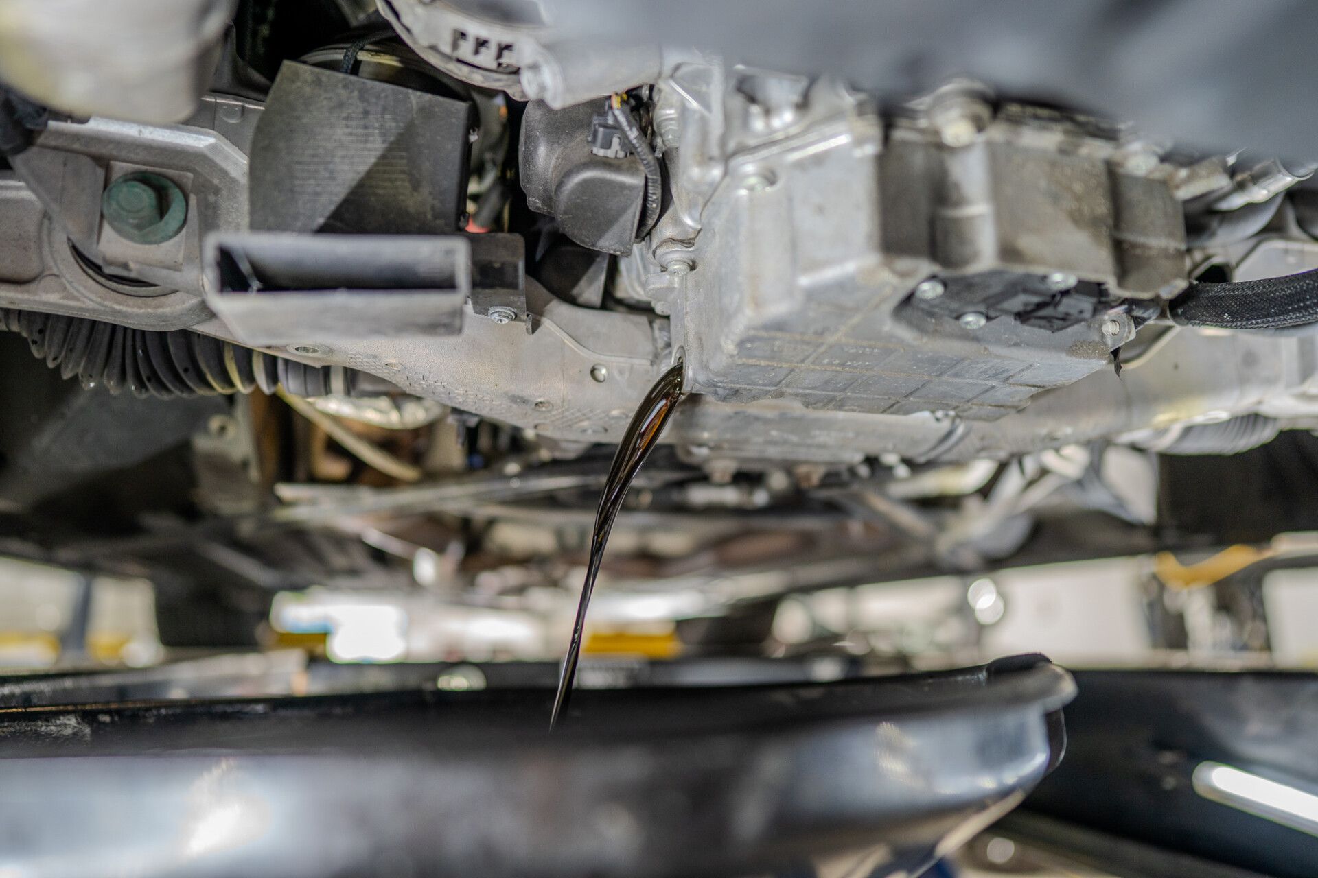 Gallery | Adler Rennsport