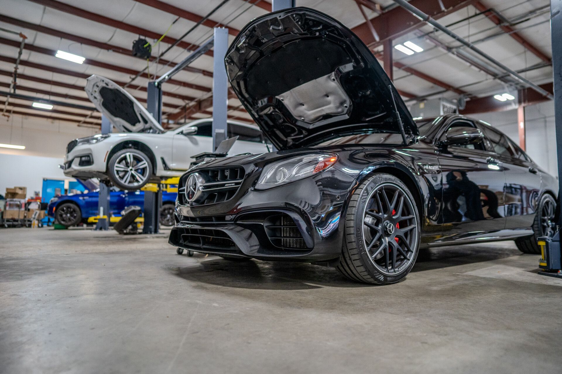 Gallery | Adler Rennsport