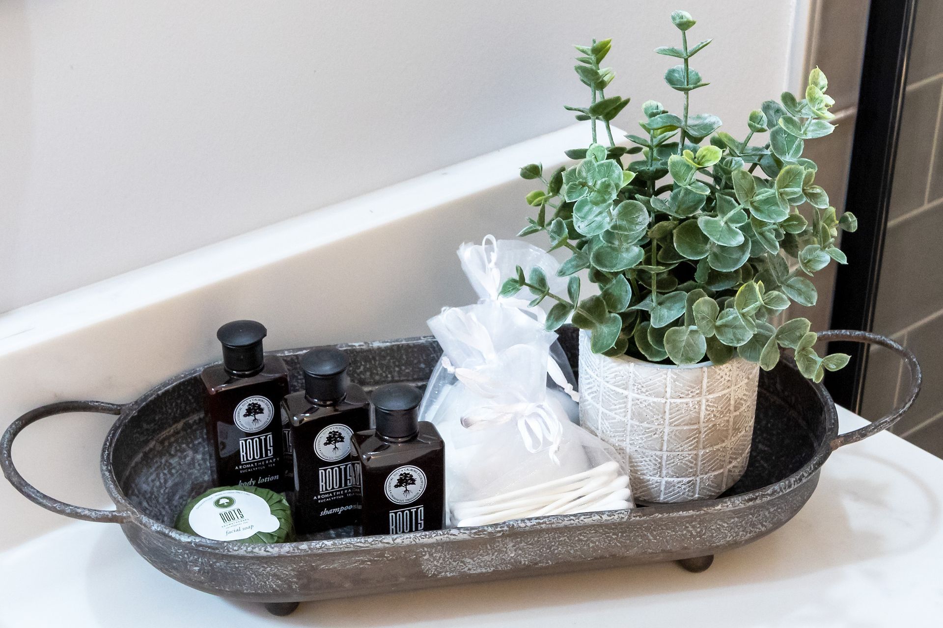 A tray with bottles of soap and a plant on a bathroom counter.