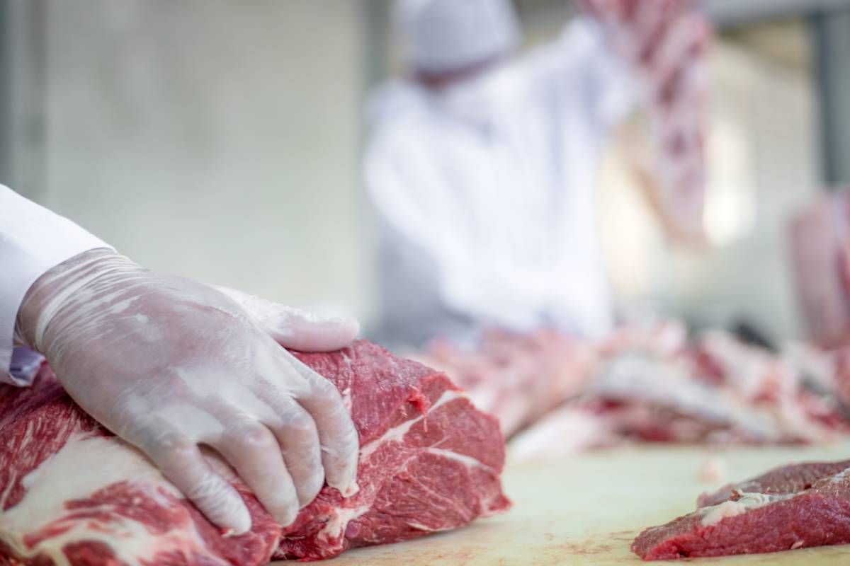 A local butcher near Carlisle, KY, cutting meat on a butcher block at Harrison Harvesting near Carlisle, KY