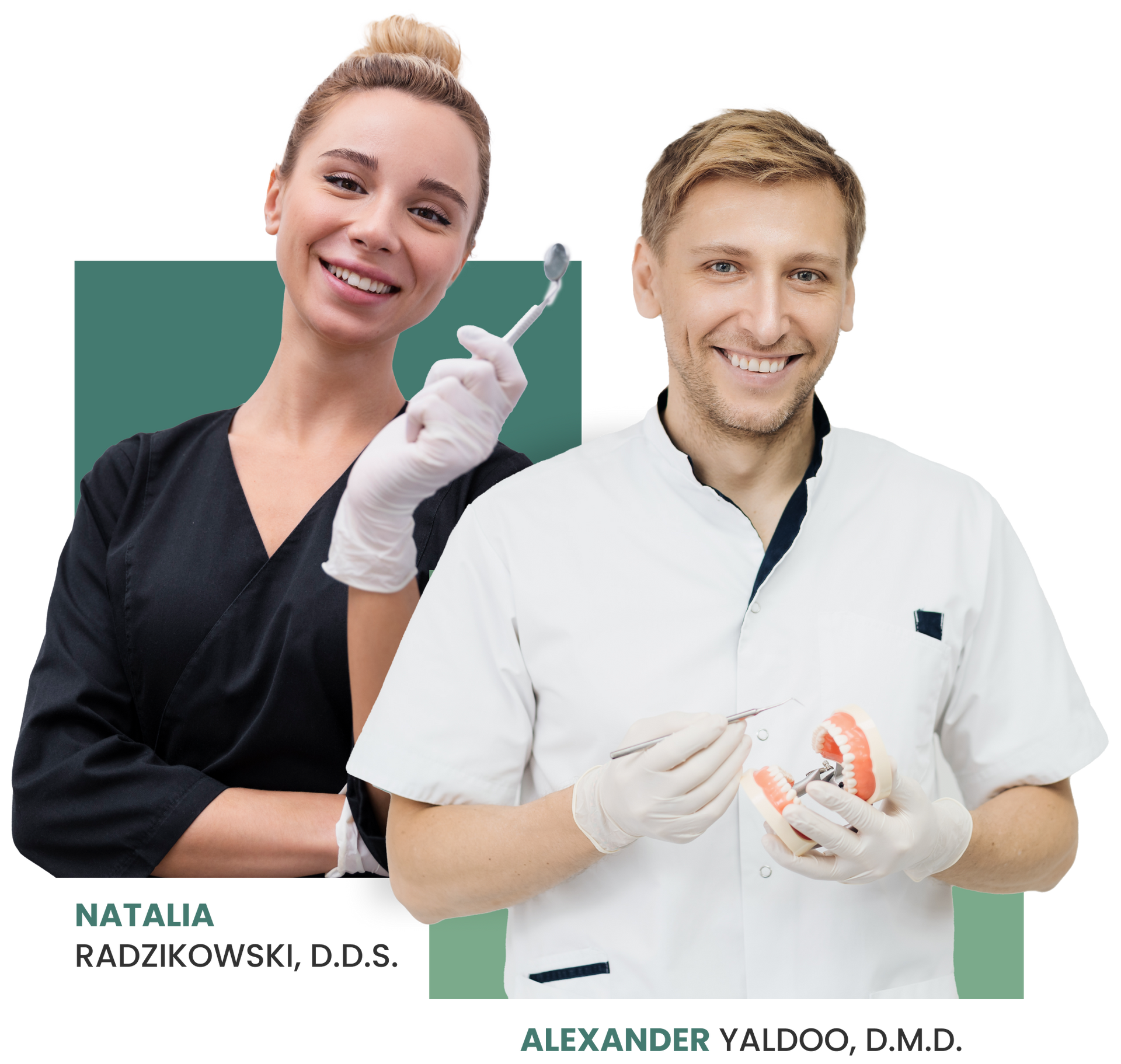 A woman holding a toothbrush next to a man holding a model of teeth