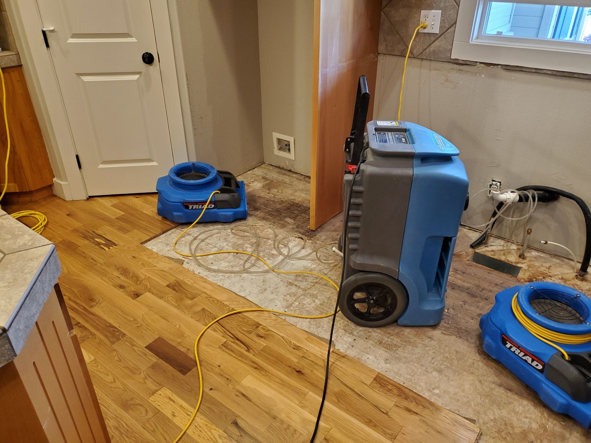A vacuum cleaner is sitting on a wooden floor in a room.