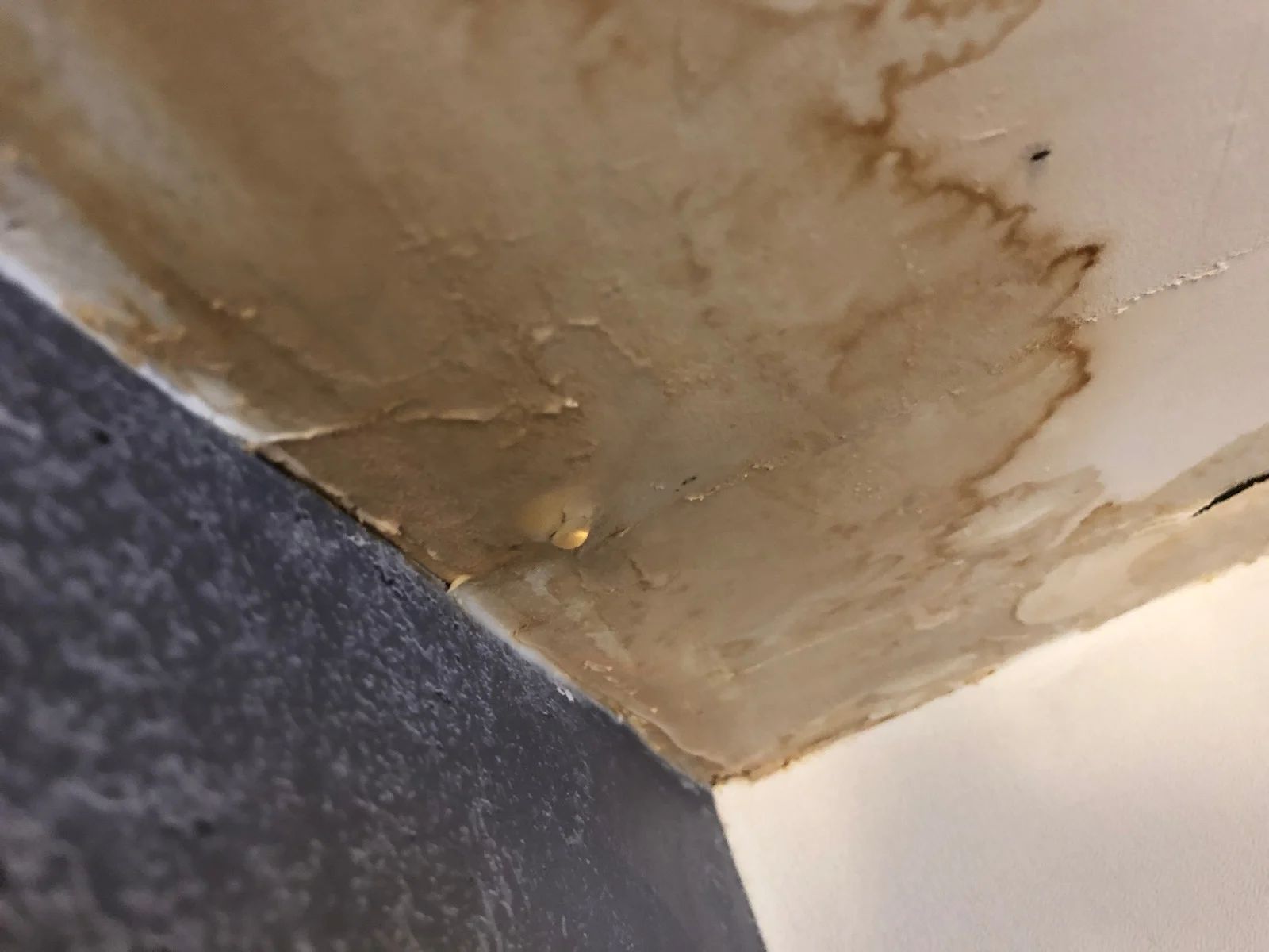Water-stained ceiling with brown discoloration and peeling paint, at the corner of a room with a dark wall.
