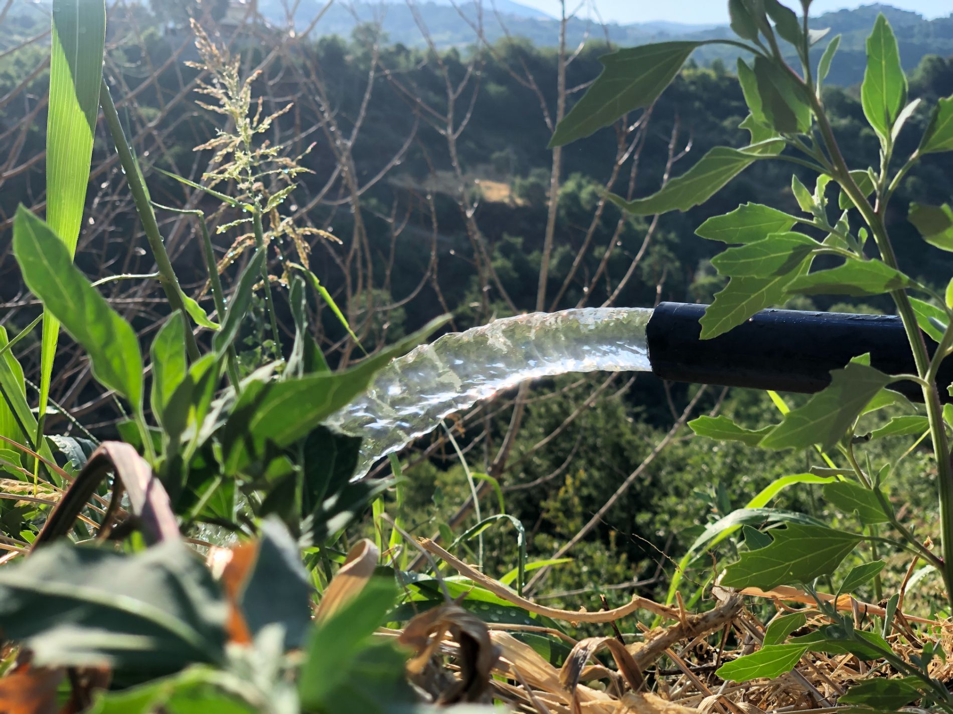 Elettropompe sommerse